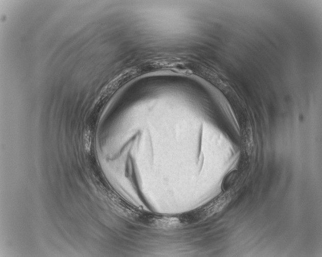 X0000053090374200508081317