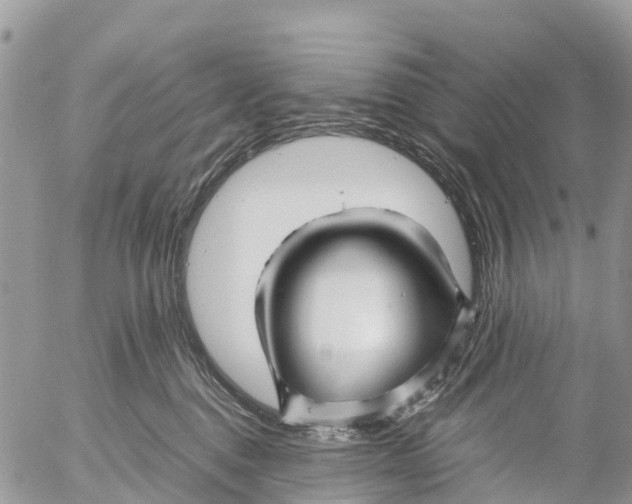 X0000053090376200508081317