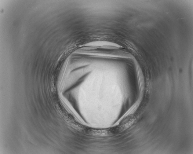 X0000053090377200508081317