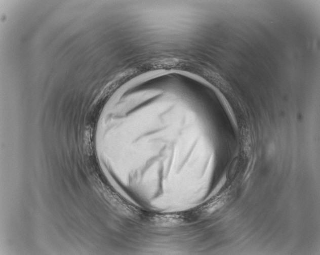 X0000053090378200508081317