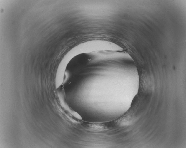 X0000053090380200508081317