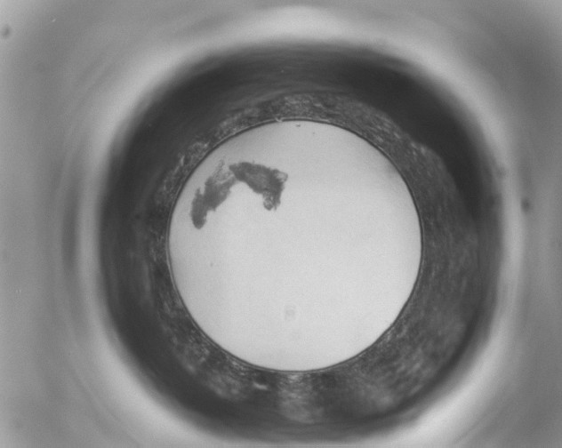 X0000053090382200508081317