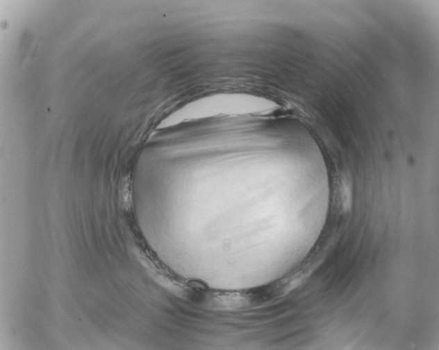 X0000053090383200508081317