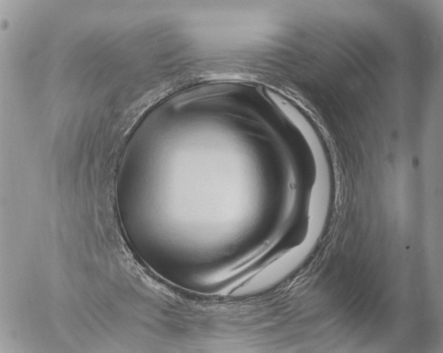 X0000053090385200508081316