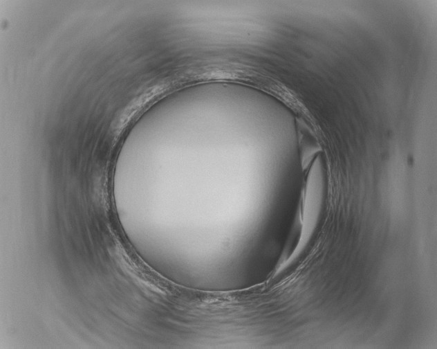 X0000053090386200508081316