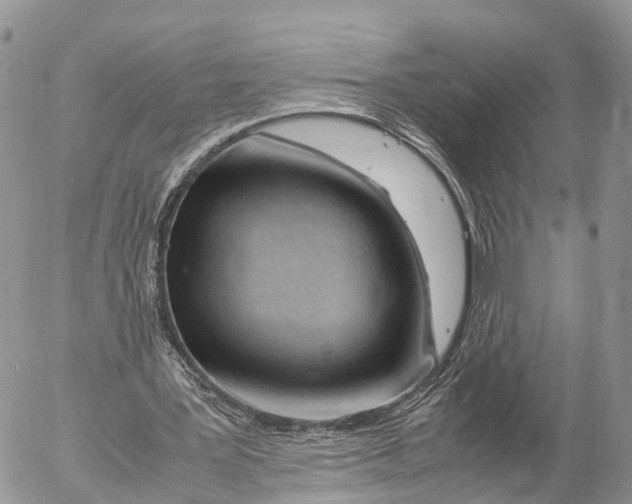 X0000053090387200508081316