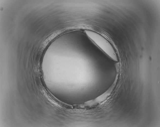 X0000053090389200508081316