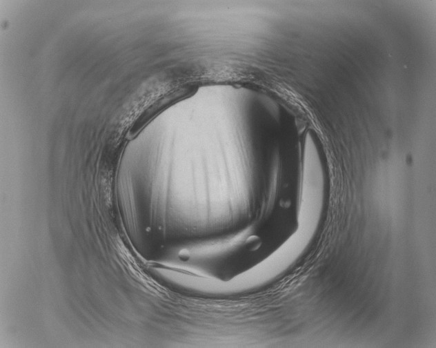 X0000053090393200508081316