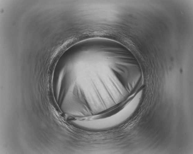 X0000053090395200508081316