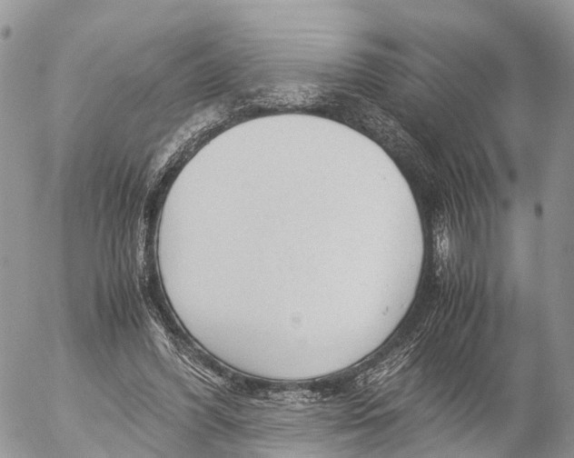 X0000053090396200508081316