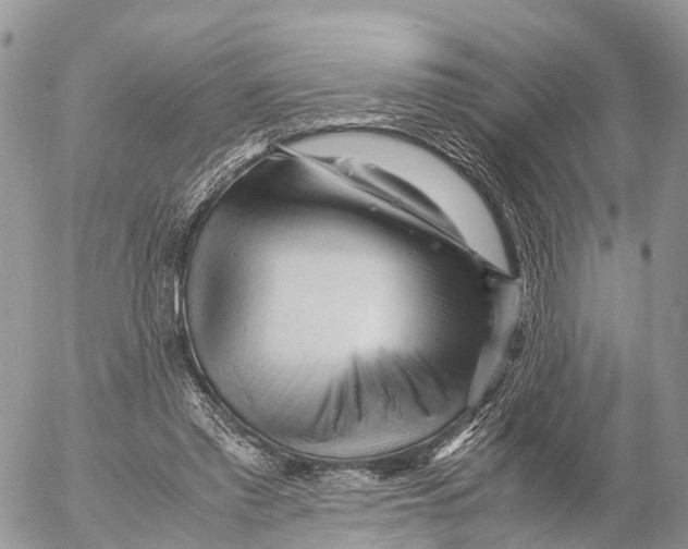 X0000053090397200508081316