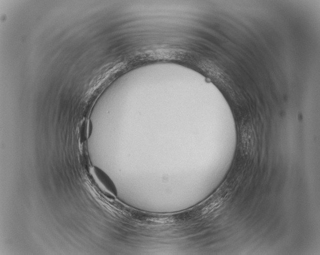 X0000053090398200508081316