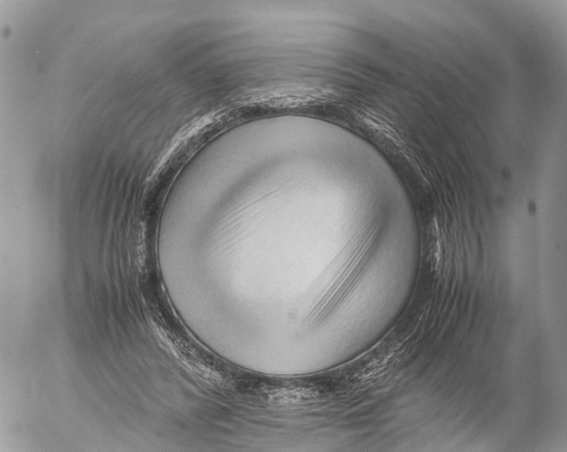 X0000053090400200508081316