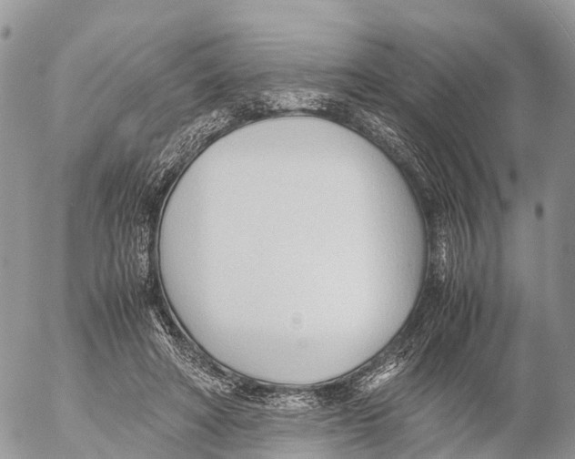 X0000053090402200508081316