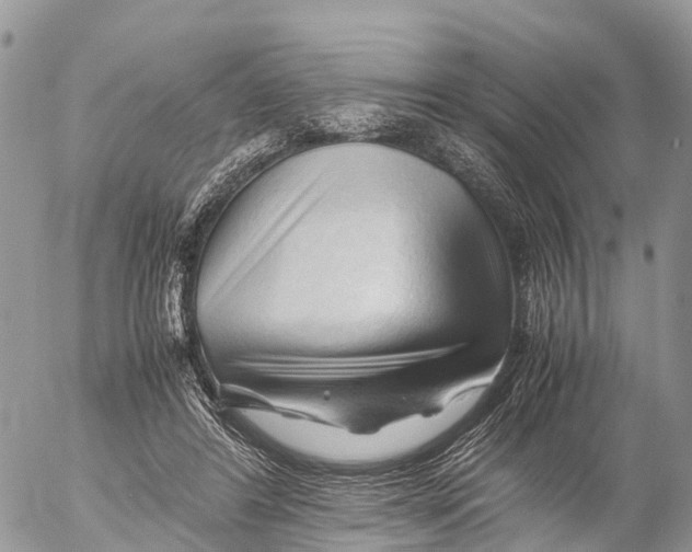 X0000053090404200508081316