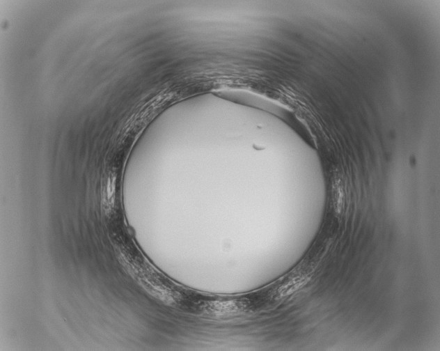 X0000053090406200508081316