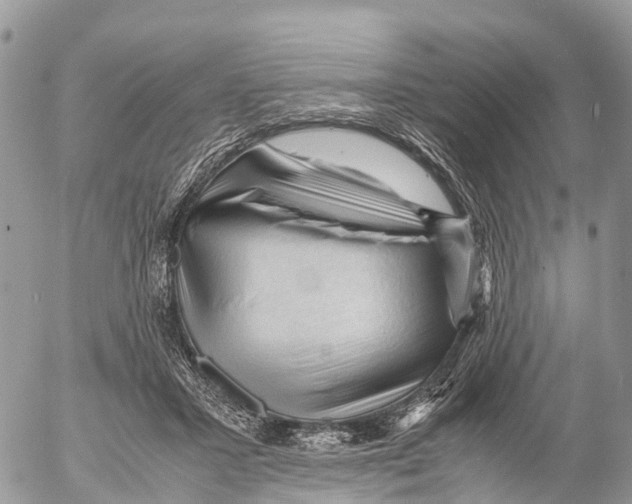 X0000053090407200508081316