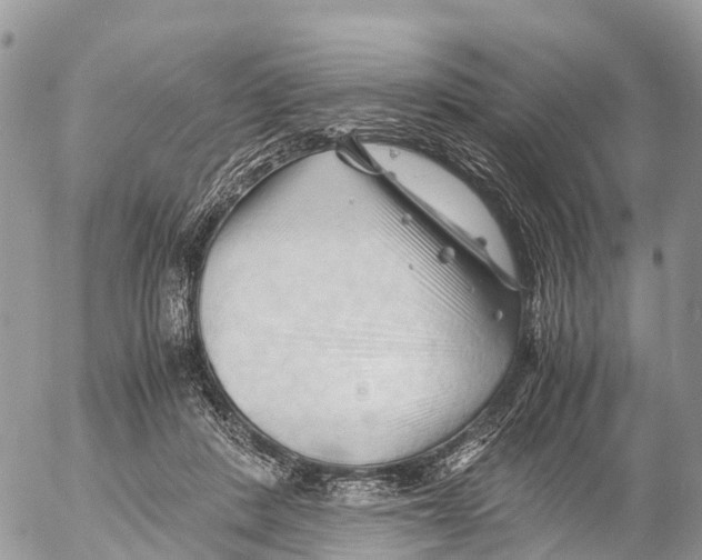 X0000053090408200508081316