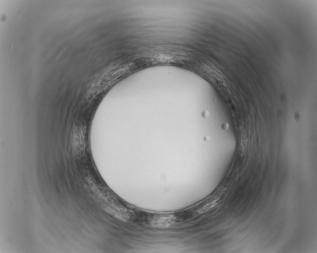 X0000053090410200508081316