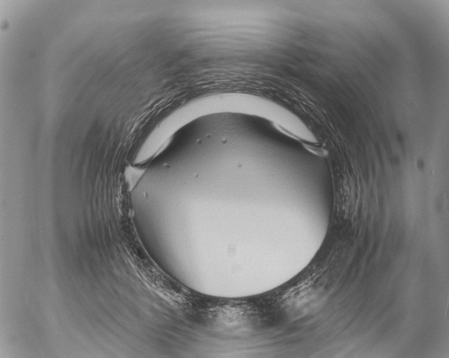 X0000053090412200508081316