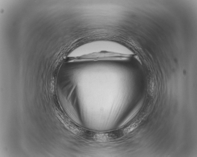 X0000053090413200508081316