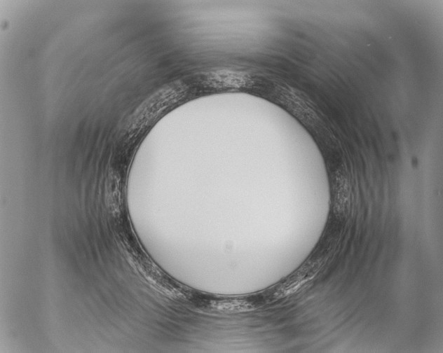 X0000053090414200508081316