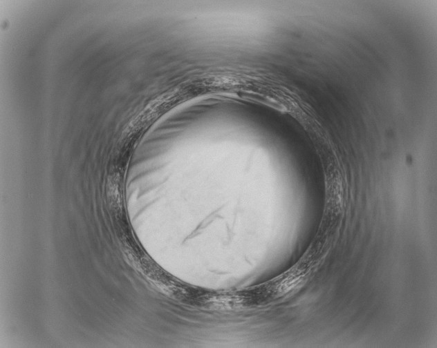 X0000053090415200508081316