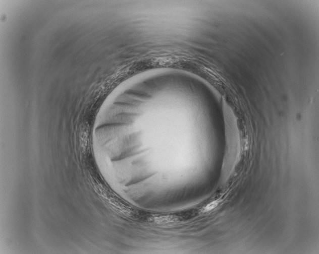 X0000053090417200508081316