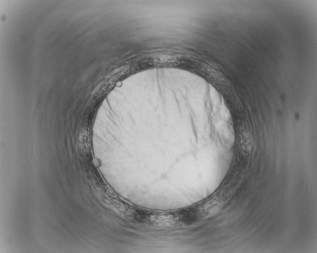 X0000053090419200508081316