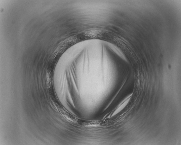 X0000053090420200508081316