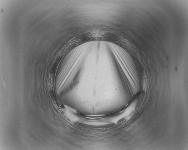 X0000053090421200508081316