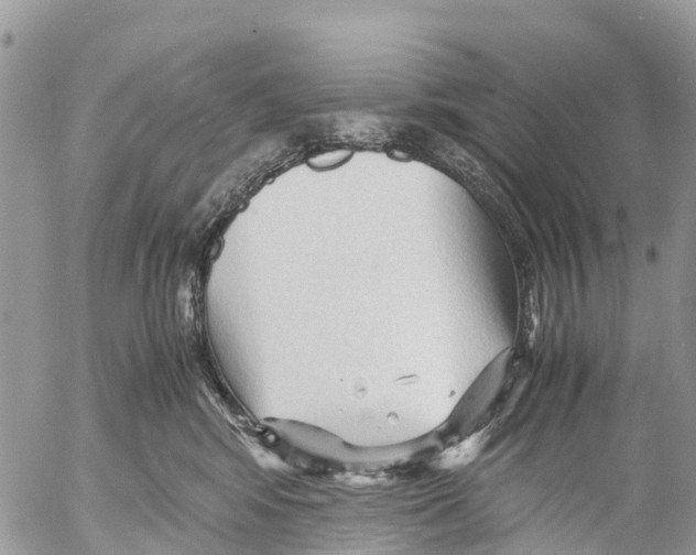 X0000053090424200508081316