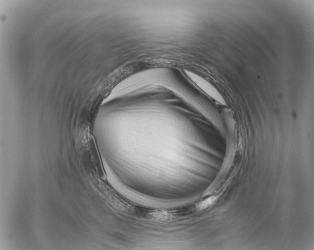 X0000053090425200508081315