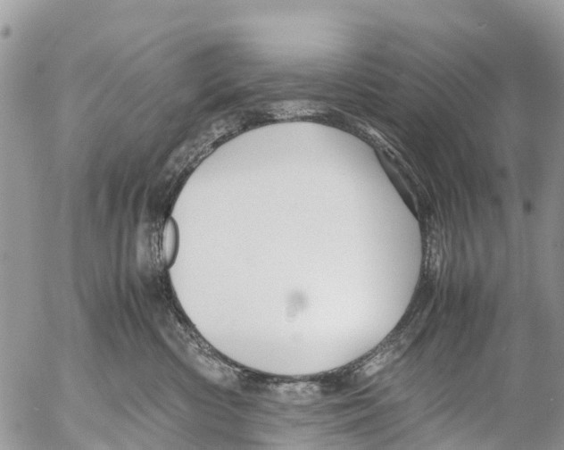 X0000053090426200508081315