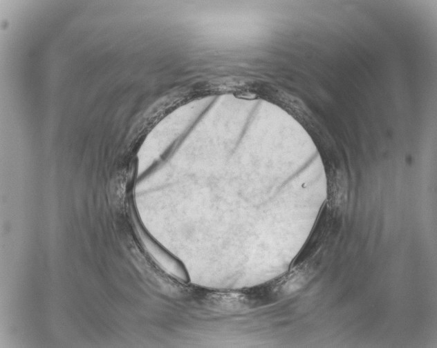 X0000053090427200508081315