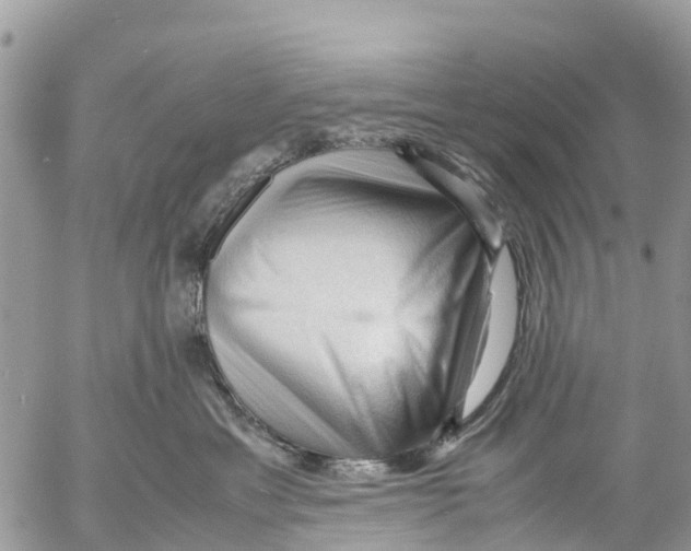 X0000053090429200508081315