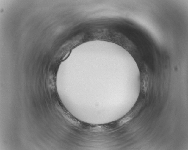 X0000053090430200508081315