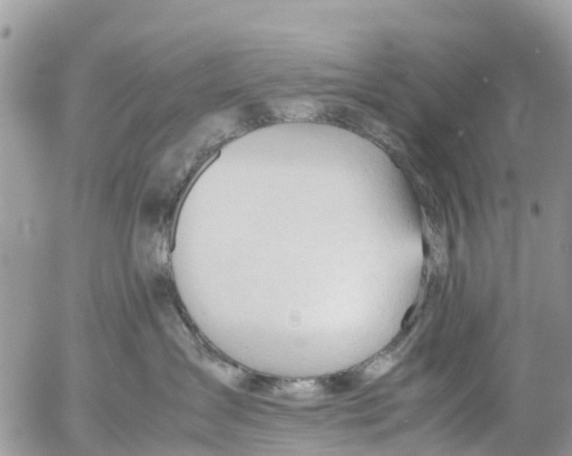 X0000053090431200508081315