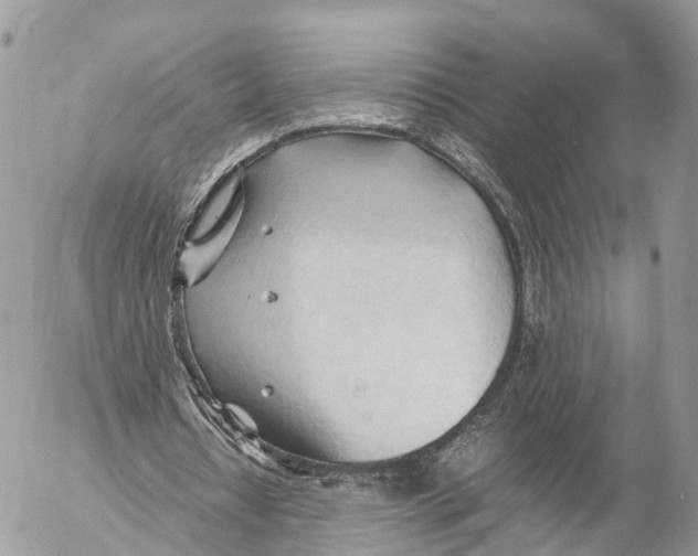 X0000053090434200508081315