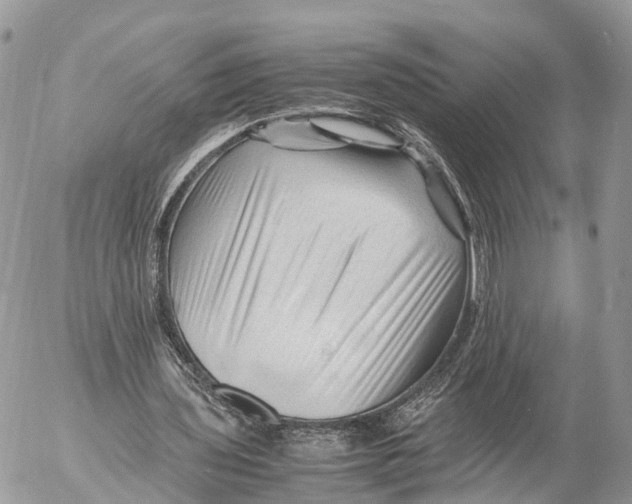 X0000053090435200508081315