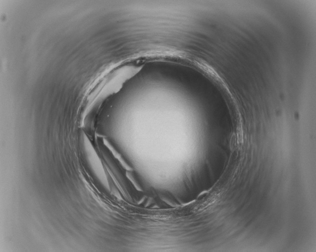 X0000053090436200508081315