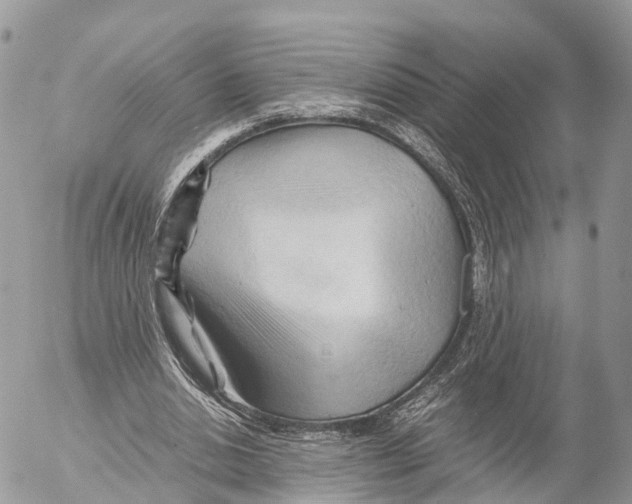 X0000053090438200508081315