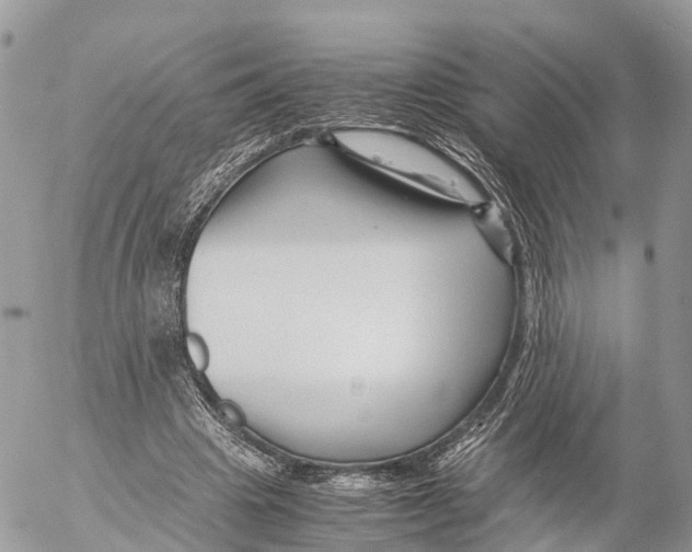 X0000053090441200508081315