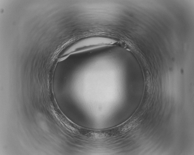 X0000053090442200508081315