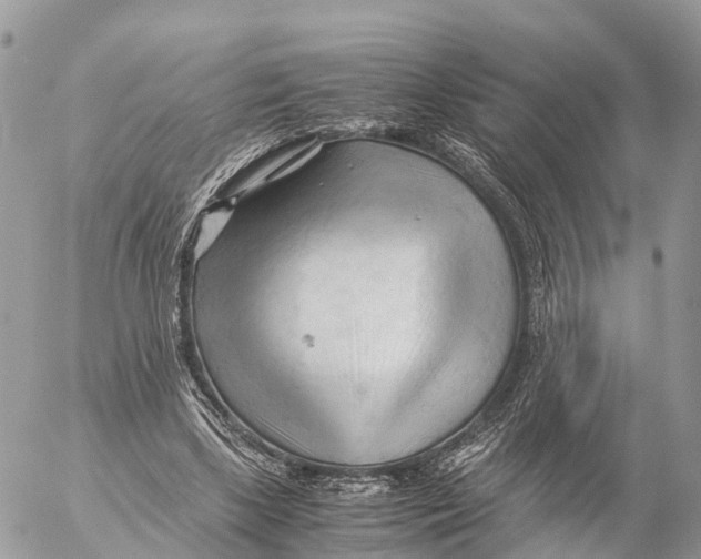 X0000053090443200508081315