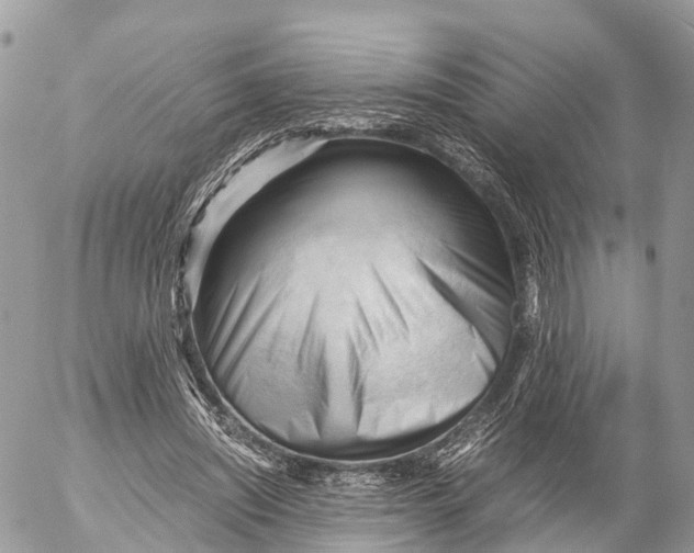 X0000053090444200508081315