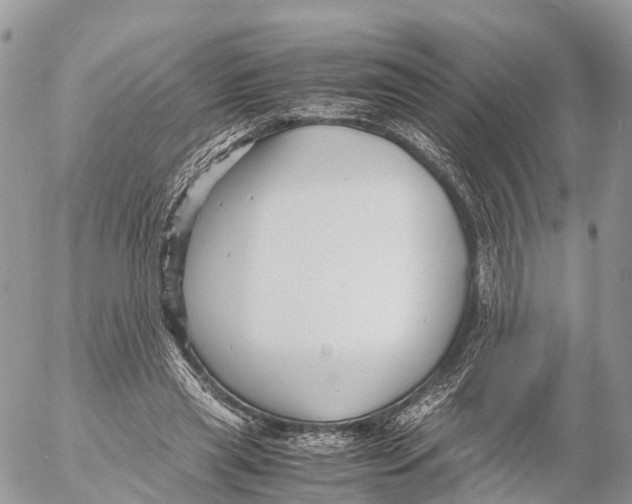 X0000053090445200508081315