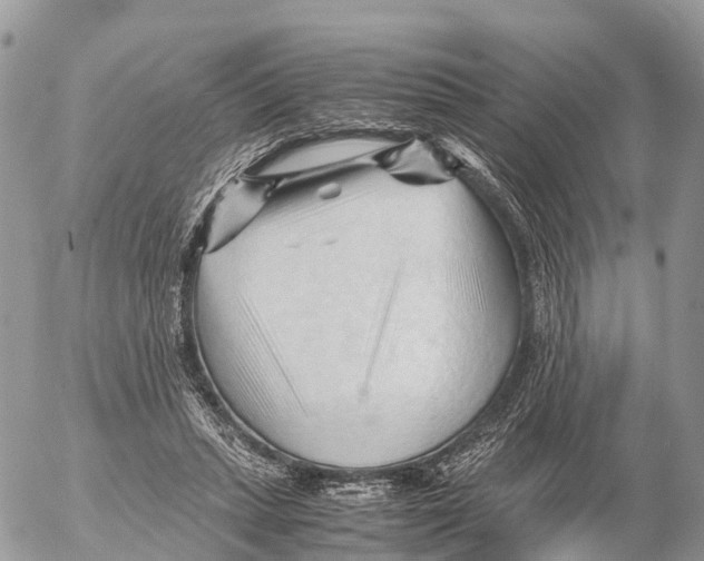 X0000053090447200508081315