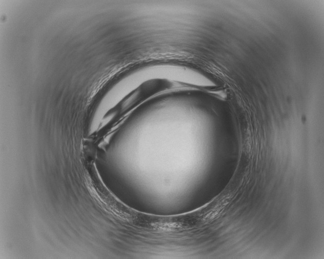 X0000053090448200508081315