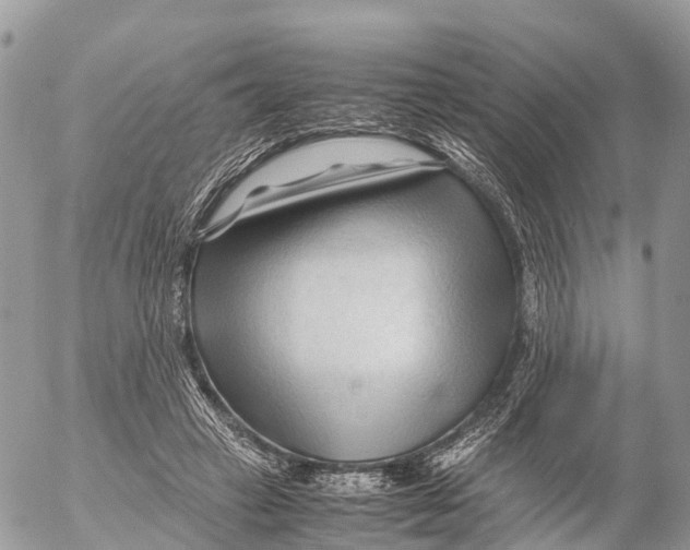 X0000053090449200508081315